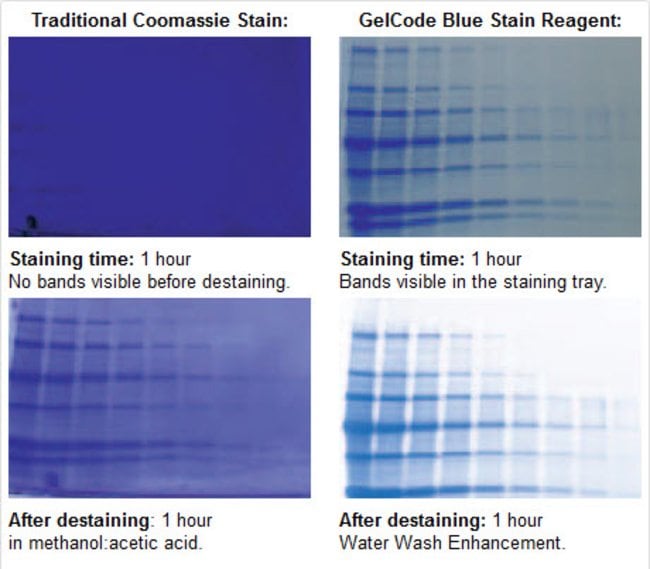 Comparison of a traditional homemade coomassie gel stain reagent and the GelCode Blue Stain Reagent
