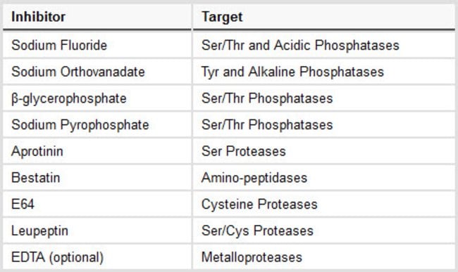 Protease and phosphatase inhibitors included in the cocktail formulation and their targeted enzyme class