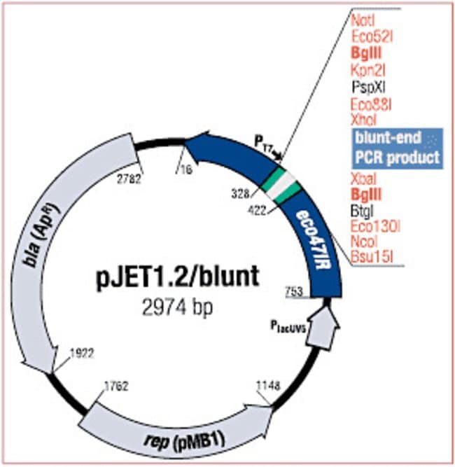 Pdf Advances In Positioning And Reference Frames: