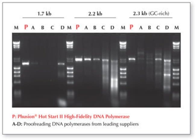 Phusion Hot Start II DNA Polymerase provides extreme specificity and abundant yields