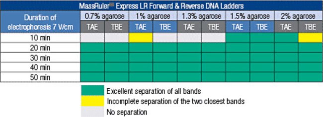 MassRuler Express LR DNA Ladder Separation Guide for Various Electrophoresis Conditions