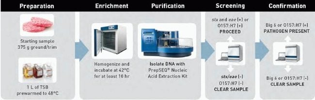 RapidFinder STEC Detection Workflow with automated DNA isolation