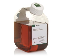 Fetal Bovine Serum, qualified, Australia