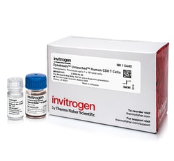 Dynabeads Untouched Human CD8 T Cells Kit - Thermo Fisher Scientific