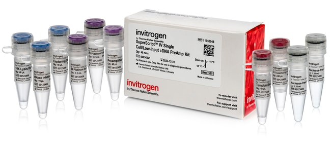 SuperScript&trade; IV Single Cell/Low Input cDNA PreAmp Kit