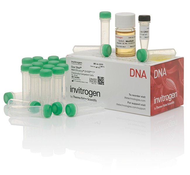 One Shot&trade; MAX Efficiency&trade; DH10B T1 Phage-Resistant Cells