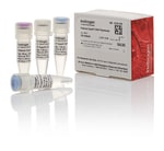 Platinum&trade; SuperFi&trade; DNA Polymerase, 100 units
