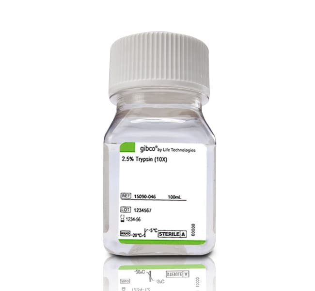 Trypsin (2.5%), no phenol red