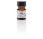 https://www.dev3.thermofisher.com/content/dam/LifeTech/Images/Brands/search/default-brand.jpg