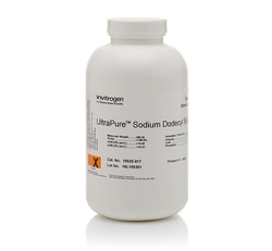 UltraPure Sodium Dodecyl Sulfate (SDS) - Thermo Fisher Scientific