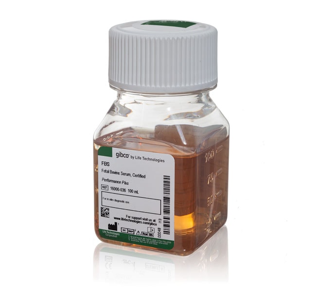 Fetal Bovine Serum, certified, US origin