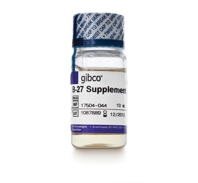 B 27 Supplement 50x Serum Free