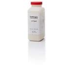 https://www.dev3.thermofisher.com/content/dam/LifeTech/Images/Brands/search/default-brand.jpg
