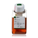 Donor Bovine Serum, New Zealand Origin