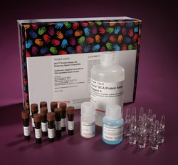 Pierce™ BCA Protein Assay Kit - Reducing Agent Compatible