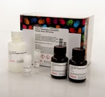 https://www.dev3.thermofisher.com/content/dam/LifeTech/Images/Brands/search/default-brand.jpg