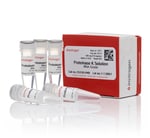 Proteinase K Solution (20 Mg Ml), Rna Grade - Thermo Fisher Scientific