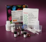 https://www.dev3.thermofisher.com/content/dam/LifeTech/Images/Brands/search/default-brand.jpg