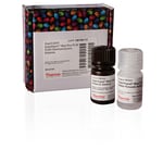 https://www.dev3.thermofisher.com/content/dam/LifeTech/Images/Brands/search/default-brand.jpg