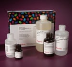 https://www.dev3.thermofisher.com/content/dam/LifeTech/Images/Brands/search/default-brand.jpg