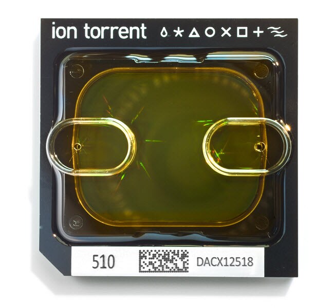Ion 510&trade; Chip Kit