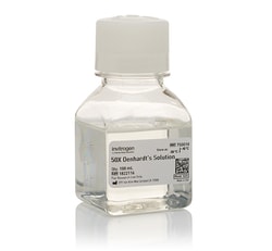 denhardt s solution 50x thermo fisher scientific