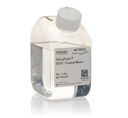 UltraPure™ DEPC-Treated Water