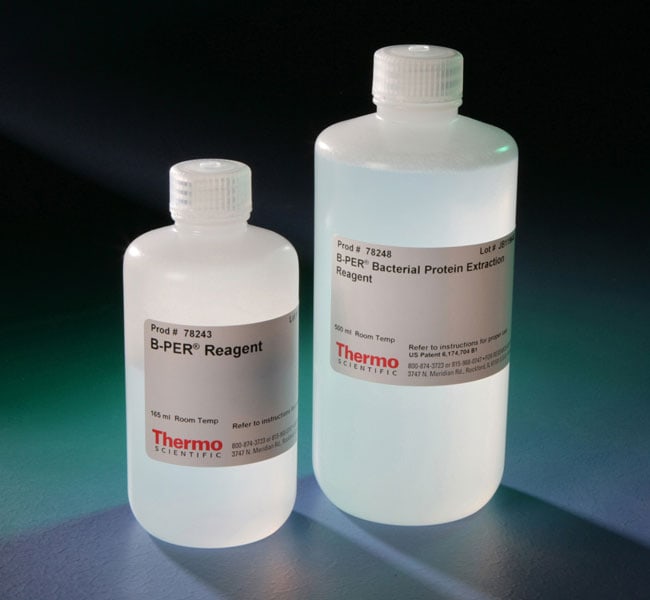 B-PER Bacterial Protein Extraction Reagent - Thermo Fisher Scientific