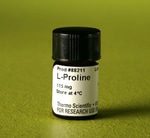https://www.dev3.thermofisher.com/content/dam/LifeTech/Images/Brands/search/default-brand.jpg