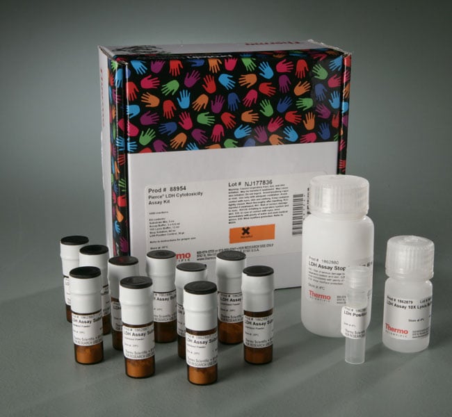 Pierce LDH Cytotoxicity Assay Kit Thermo Fisher Scientific