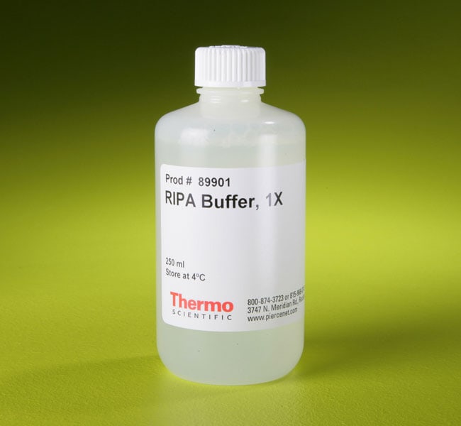 Ripa Lysis And Extraction Buffer