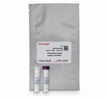 https://www.dev3.thermofisher.com/content/dam/LifeTech/Images/Brands/search/default-brand.jpg