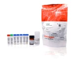 ATP Determination Kit