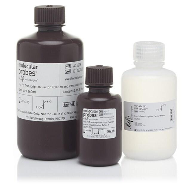 Foxp3 Transcription Factor Staining Buffer Kit - Thermo Fisher Scientific