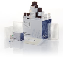 Magmax Mirvana Total Rna Isolation Kit