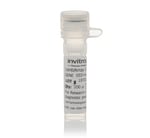 https://www.dev3.thermofisher.com/content/dam/LifeTech/Images/Brands/search/default-brand.jpg