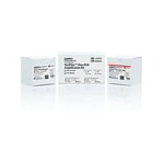 VeriFiler™ Plus PCR Amplification Kit