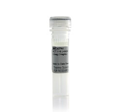 HCT 116 (+hIGF-1) Control Lysate (1mg/mL)