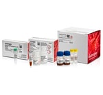 RiboMinus&trade; Bacteria 2.0 Transcriptome Isolation Kit