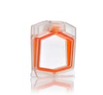 https://www.thermofisher.com/content/dam/LifeTech/Images/Brands/search/default-brand.jpg