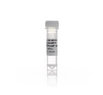 https://www.dev3.thermofisher.com/content/dam/LifeTech/Images/Brands/search/default-brand.jpg