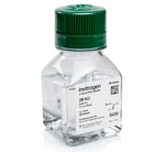 KCl (2 M), RNase-free