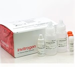 Aluora&trade; Spatial Amplification Reagent Components