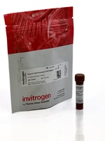 Aluora&trade; Spatial Amplification Individual Dyes