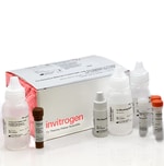 Aluora&trade; Spatial Amplification Goat-anti-Rabbit HRP Kits