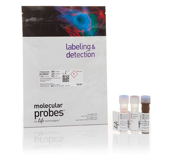 CellEvent&trade; Caspase-3/7 Green Flow Cytometry Assay Kit