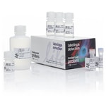 Click-iT&trade; Plus EdU Alexa Fluor&trade; 647 Flow Cytometry Assay Kit, 100 rxn(s)