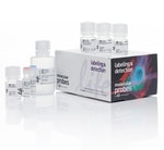 https://www.dev3.thermofisher.com/content/dam/LifeTech/Images/Brands/search/default-brand.jpg