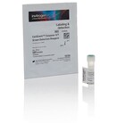 CellEvent Caspase-3/7 Green Detection Reagent - Thermo Fisher Scientific