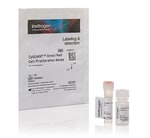 CyQUANT™ Direct Red Cell Proliferation Assay